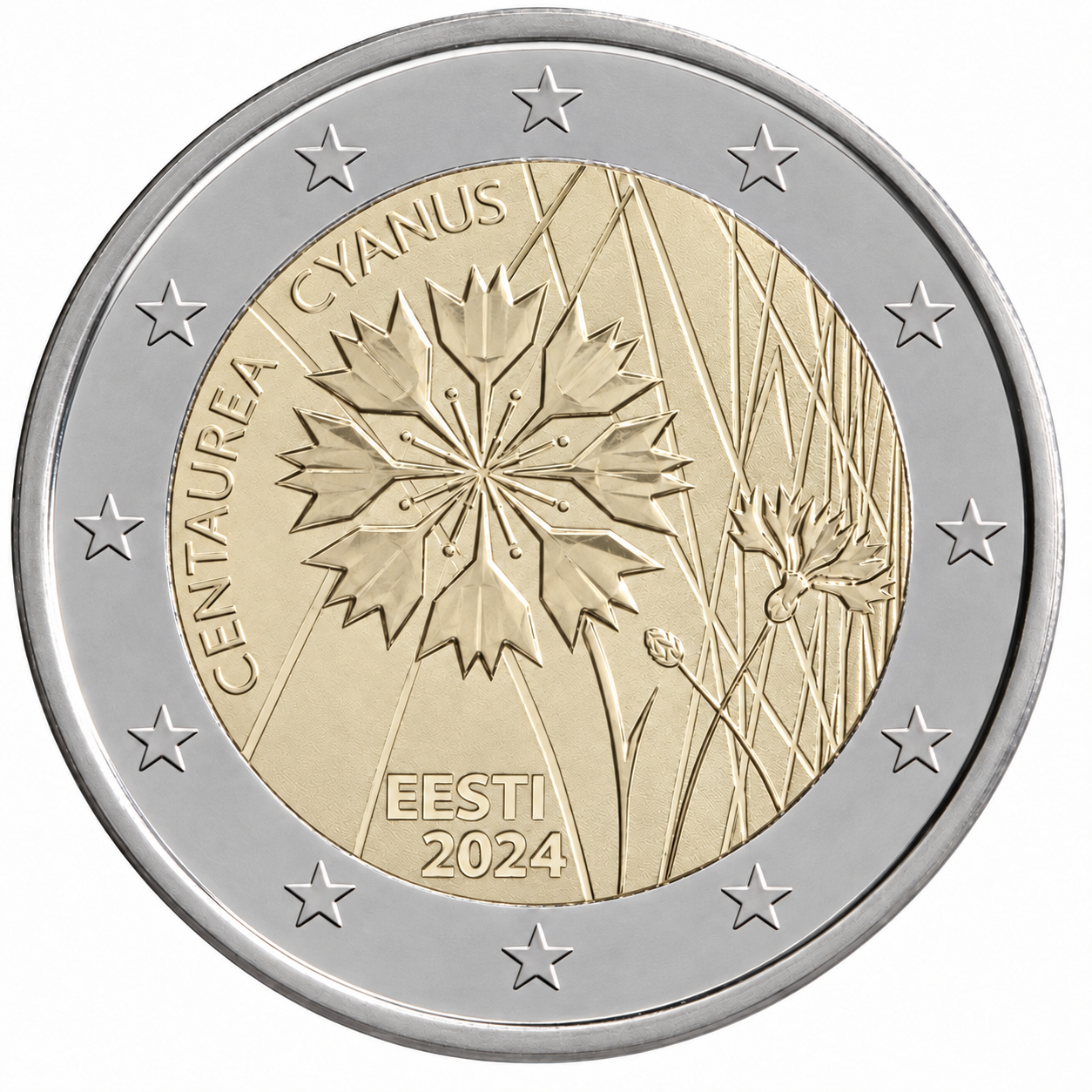 2 Euros Centaurea Cyanus (Uncoloured)